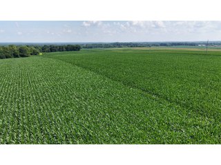 Property photo 11 - REAL ESTATE AUCTION - 73+/- ACRES OFFERED IN 4 TRACTS IN WAYNE COUNTY, INDIANA