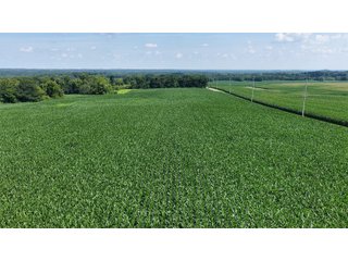 Property photo 12 - REAL ESTATE AUCTION - 73+/- ACRES OFFERED IN 4 TRACTS IN WAYNE COUNTY, INDIANA