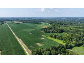 Property photo 14 - REAL ESTATE AUCTION - 73+/- ACRES OFFERED IN 4 TRACTS IN WAYNE COUNTY, INDIANA