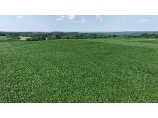 Property photo 16 - REAL ESTATE AUCTION - 73+/- ACRES OFFERED IN 4 TRACTS IN WAYNE COUNTY, INDIANA