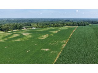Property photo 4 - REAL ESTATE AUCTION - 73+/- ACRES OFFERED IN 4 TRACTS IN WAYNE COUNTY, INDIANA
