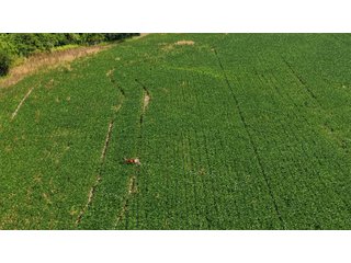 Property photo 6 - REAL ESTATE AUCTION - 73+/- ACRES OFFERED IN 4 TRACTS IN WAYNE COUNTY, INDIANA