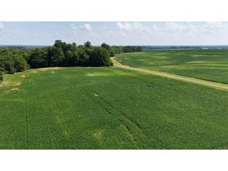 Property photo 7 - REAL ESTATE AUCTION - 73+/- ACRES OFFERED IN 4 TRACTS IN WAYNE COUNTY, INDIANA