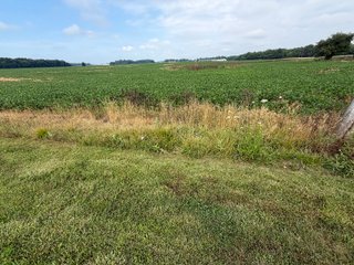 Property photo 161 - LAND AUCTION - 404+/-ACRES OFFERED IN 17 TRACTS IN WILLIAMS COUNTY, OHIO AND DEKALB COUNTY, INDIANA