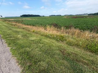 Property photo 160 - LAND AUCTION - 404+/-ACRES OFFERED IN 17 TRACTS IN WILLIAMS COUNTY, OHIO AND DEKALB COUNTY, INDIANA