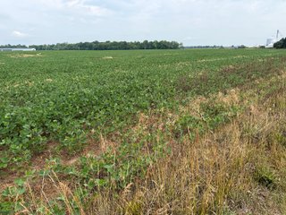 Property photo 159 - LAND AUCTION - 404+/-ACRES OFFERED IN 17 TRACTS IN WILLIAMS COUNTY, OHIO AND DEKALB COUNTY, INDIANA