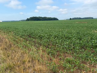 Property photo 157 - LAND AUCTION - 404+/-ACRES OFFERED IN 17 TRACTS IN WILLIAMS COUNTY, OHIO AND DEKALB COUNTY, INDIANA