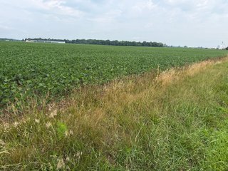 Property photo 155 - LAND AUCTION - 404+/-ACRES OFFERED IN 17 TRACTS IN WILLIAMS COUNTY, OHIO AND DEKALB COUNTY, INDIANA