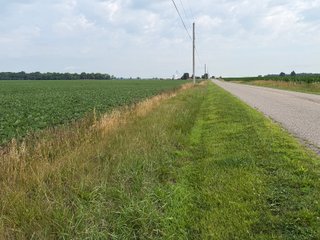 Property photo 154 - LAND AUCTION - 404+/-ACRES OFFERED IN 17 TRACTS IN WILLIAMS COUNTY, OHIO AND DEKALB COUNTY, INDIANA
