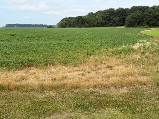 Property photo 153 - LAND AUCTION - 404+/-ACRES OFFERED IN 17 TRACTS IN WILLIAMS COUNTY, OHIO AND DEKALB COUNTY, INDIANA