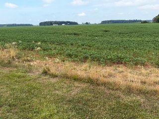 Property photo 152 - LAND AUCTION - 404+/-ACRES OFFERED IN 17 TRACTS IN WILLIAMS COUNTY, OHIO AND DEKALB COUNTY, INDIANA