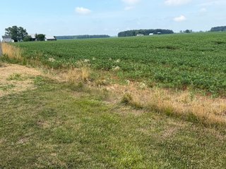 Property photo 151 - LAND AUCTION - 404+/-ACRES OFFERED IN 17 TRACTS IN WILLIAMS COUNTY, OHIO AND DEKALB COUNTY, INDIANA