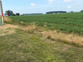 Property photo 150 - LAND AUCTION - 404+/-ACRES OFFERED IN 17 TRACTS IN WILLIAMS COUNTY, OHIO AND DEKALB COUNTY, INDIANA