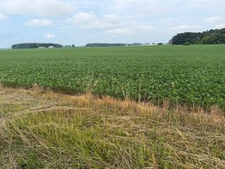 Property photo 149 - LAND AUCTION - 404+/-ACRES OFFERED IN 17 TRACTS IN WILLIAMS COUNTY, OHIO AND DEKALB COUNTY, INDIANA