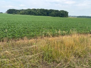Property photo 148 - LAND AUCTION - 404+/-ACRES OFFERED IN 17 TRACTS IN WILLIAMS COUNTY, OHIO AND DEKALB COUNTY, INDIANA
