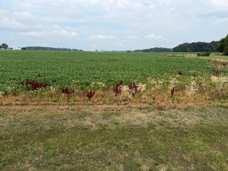Property photo 147 - LAND AUCTION - 404+/-ACRES OFFERED IN 17 TRACTS IN WILLIAMS COUNTY, OHIO AND DEKALB COUNTY, INDIANA