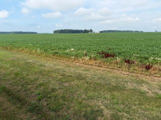 Property photo 146 - LAND AUCTION - 404+/-ACRES OFFERED IN 17 TRACTS IN WILLIAMS COUNTY, OHIO AND DEKALB COUNTY, INDIANA