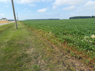 Property photo 145 - LAND AUCTION - 404+/-ACRES OFFERED IN 17 TRACTS IN WILLIAMS COUNTY, OHIO AND DEKALB COUNTY, INDIANA
