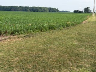 Property photo 144 - LAND AUCTION - 404+/-ACRES OFFERED IN 17 TRACTS IN WILLIAMS COUNTY, OHIO AND DEKALB COUNTY, INDIANA