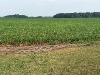 Property photo 143 - LAND AUCTION - 404+/-ACRES OFFERED IN 17 TRACTS IN WILLIAMS COUNTY, OHIO AND DEKALB COUNTY, INDIANA