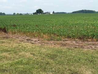 Property photo 142 - LAND AUCTION - 404+/-ACRES OFFERED IN 17 TRACTS IN WILLIAMS COUNTY, OHIO AND DEKALB COUNTY, INDIANA