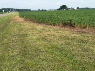 Property photo 141 - LAND AUCTION - 404+/-ACRES OFFERED IN 17 TRACTS IN WILLIAMS COUNTY, OHIO AND DEKALB COUNTY, INDIANA