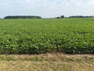 Property photo 140 - LAND AUCTION - 404+/-ACRES OFFERED IN 17 TRACTS IN WILLIAMS COUNTY, OHIO AND DEKALB COUNTY, INDIANA
