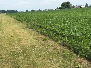 Property photo 138 - LAND AUCTION - 404+/-ACRES OFFERED IN 17 TRACTS IN WILLIAMS COUNTY, OHIO AND DEKALB COUNTY, INDIANA