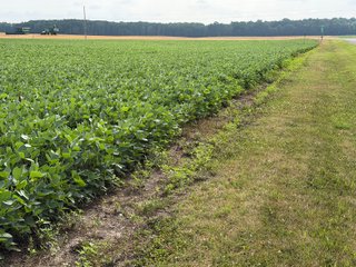 Property photo 137 - LAND AUCTION - 404+/-ACRES OFFERED IN 17 TRACTS IN WILLIAMS COUNTY, OHIO AND DEKALB COUNTY, INDIANA