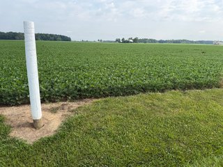 Property photo 136 - LAND AUCTION - 404+/-ACRES OFFERED IN 17 TRACTS IN WILLIAMS COUNTY, OHIO AND DEKALB COUNTY, INDIANA