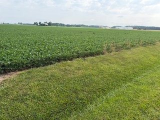 Property photo 135 - LAND AUCTION - 404+/-ACRES OFFERED IN 17 TRACTS IN WILLIAMS COUNTY, OHIO AND DEKALB COUNTY, INDIANA