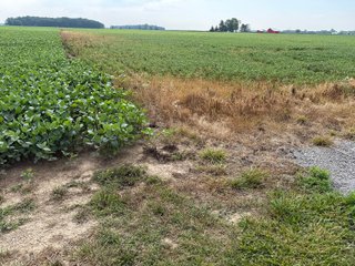 Property photo 134 - LAND AUCTION - 404+/-ACRES OFFERED IN 17 TRACTS IN WILLIAMS COUNTY, OHIO AND DEKALB COUNTY, INDIANA