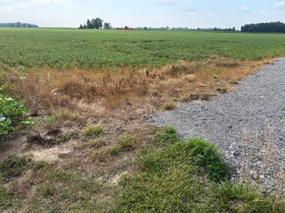 Property photo 133 - LAND AUCTION - 404+/-ACRES OFFERED IN 17 TRACTS IN WILLIAMS COUNTY, OHIO AND DEKALB COUNTY, INDIANA
