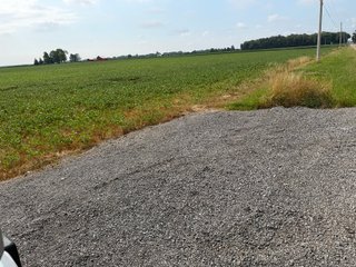 Property photo 130 - LAND AUCTION - 404+/-ACRES OFFERED IN 17 TRACTS IN WILLIAMS COUNTY, OHIO AND DEKALB COUNTY, INDIANA