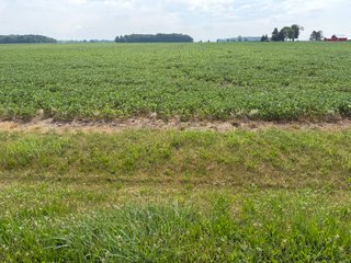 Property photo 129 - LAND AUCTION - 404+/-ACRES OFFERED IN 17 TRACTS IN WILLIAMS COUNTY, OHIO AND DEKALB COUNTY, INDIANA