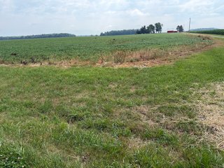 Property photo 128 - LAND AUCTION - 404+/-ACRES OFFERED IN 17 TRACTS IN WILLIAMS COUNTY, OHIO AND DEKALB COUNTY, INDIANA