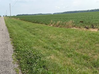 Property photo 126 - LAND AUCTION - 404+/-ACRES OFFERED IN 17 TRACTS IN WILLIAMS COUNTY, OHIO AND DEKALB COUNTY, INDIANA