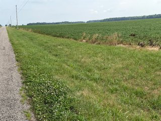 Property photo 125 - LAND AUCTION - 404+/-ACRES OFFERED IN 17 TRACTS IN WILLIAMS COUNTY, OHIO AND DEKALB COUNTY, INDIANA