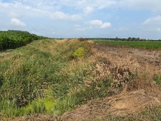 Property photo 124 - LAND AUCTION - 404+/-ACRES OFFERED IN 17 TRACTS IN WILLIAMS COUNTY, OHIO AND DEKALB COUNTY, INDIANA