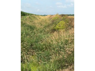 Property photo 123 - LAND AUCTION - 404+/-ACRES OFFERED IN 17 TRACTS IN WILLIAMS COUNTY, OHIO AND DEKALB COUNTY, INDIANA
