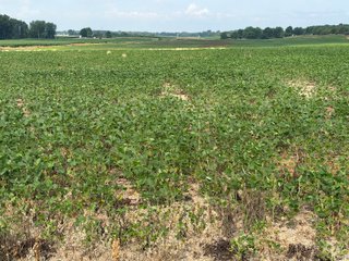 Property photo 121 - LAND AUCTION - 404+/-ACRES OFFERED IN 17 TRACTS IN WILLIAMS COUNTY, OHIO AND DEKALB COUNTY, INDIANA