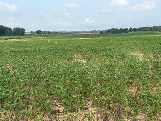 Property photo 120 - LAND AUCTION - 404+/-ACRES OFFERED IN 17 TRACTS IN WILLIAMS COUNTY, OHIO AND DEKALB COUNTY, INDIANA
