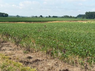 Property photo 118 - LAND AUCTION - 404+/-ACRES OFFERED IN 17 TRACTS IN WILLIAMS COUNTY, OHIO AND DEKALB COUNTY, INDIANA