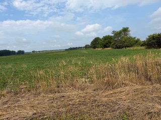 Property photo 117 - LAND AUCTION - 404+/-ACRES OFFERED IN 17 TRACTS IN WILLIAMS COUNTY, OHIO AND DEKALB COUNTY, INDIANA