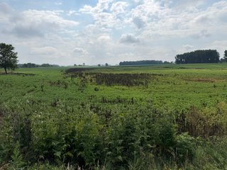 Property photo 116 - LAND AUCTION - 404+/-ACRES OFFERED IN 17 TRACTS IN WILLIAMS COUNTY, OHIO AND DEKALB COUNTY, INDIANA