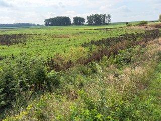 Property photo 115 - LAND AUCTION - 404+/-ACRES OFFERED IN 17 TRACTS IN WILLIAMS COUNTY, OHIO AND DEKALB COUNTY, INDIANA