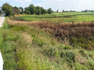Property photo 114 - LAND AUCTION - 404+/-ACRES OFFERED IN 17 TRACTS IN WILLIAMS COUNTY, OHIO AND DEKALB COUNTY, INDIANA