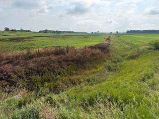 Property photo 113 - LAND AUCTION - 404+/-ACRES OFFERED IN 17 TRACTS IN WILLIAMS COUNTY, OHIO AND DEKALB COUNTY, INDIANA