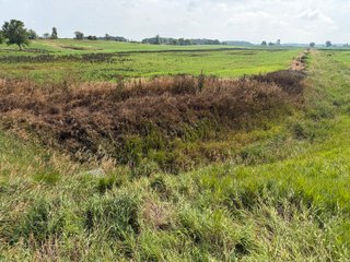Property photo 112 - LAND AUCTION - 404+/-ACRES OFFERED IN 17 TRACTS IN WILLIAMS COUNTY, OHIO AND DEKALB COUNTY, INDIANA