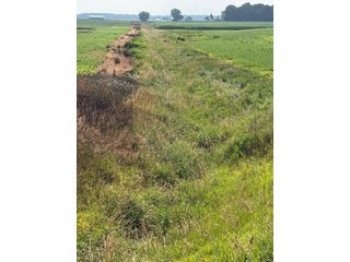 Property photo 111 - LAND AUCTION - 404+/-ACRES OFFERED IN 17 TRACTS IN WILLIAMS COUNTY, OHIO AND DEKALB COUNTY, INDIANA